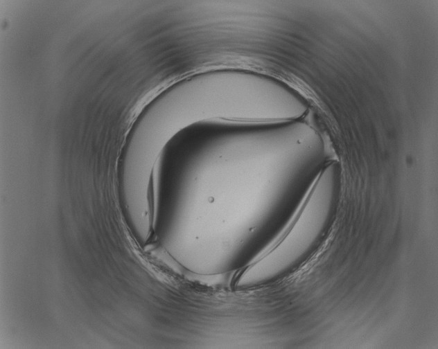 X0000067510842200604281606