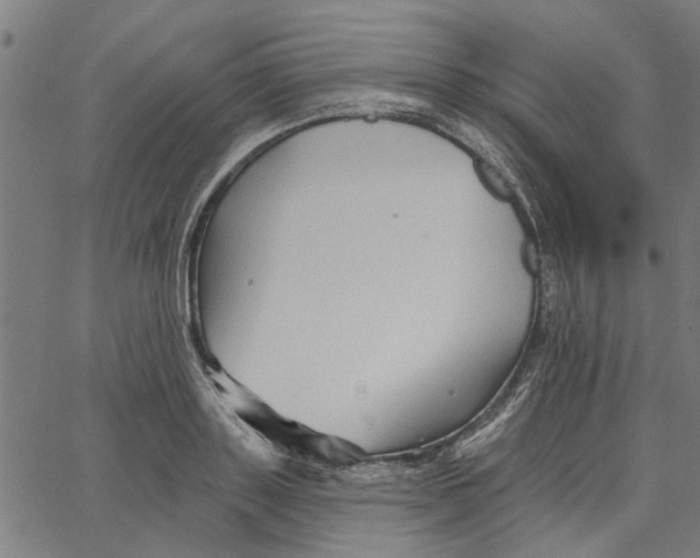 X0000067510843200604281606