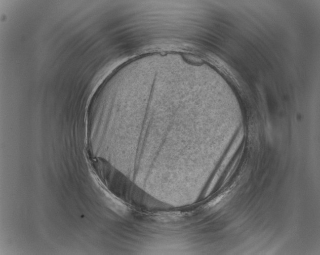 X0000067510844200604281606