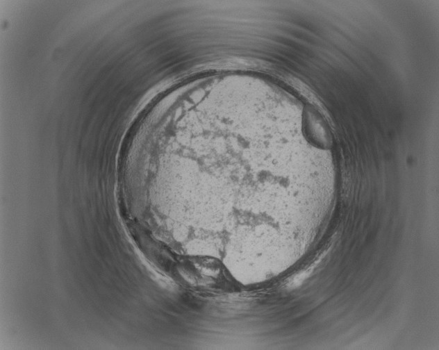 X0000067510845200604281606