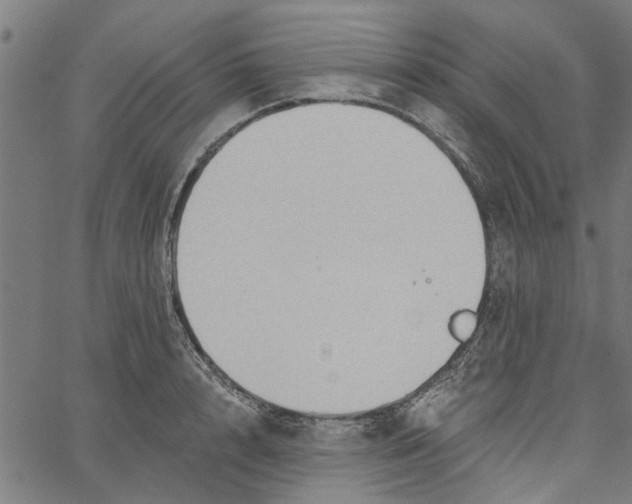 X0000067510848200604281606