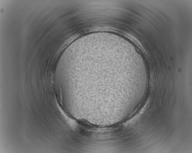 X0000067510849200604281606