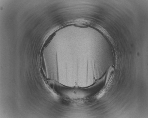 X0000067510850200604281606