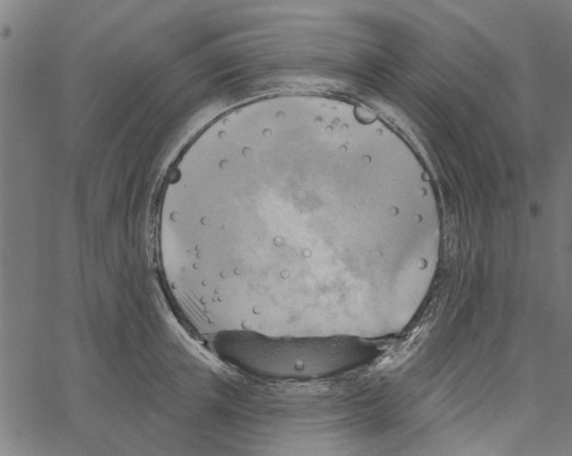 X0000067510851200604281606