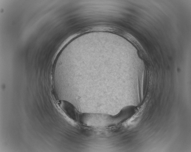 X0000067510852200604281606