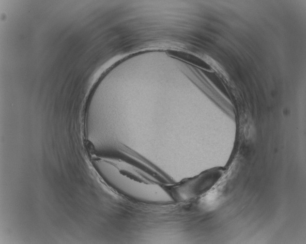 X0000067510854200604281606