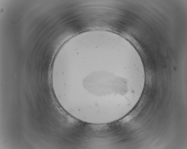 X0000067510856200604281606