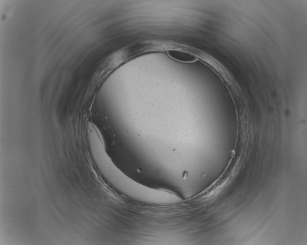 X0000067510857200604281606