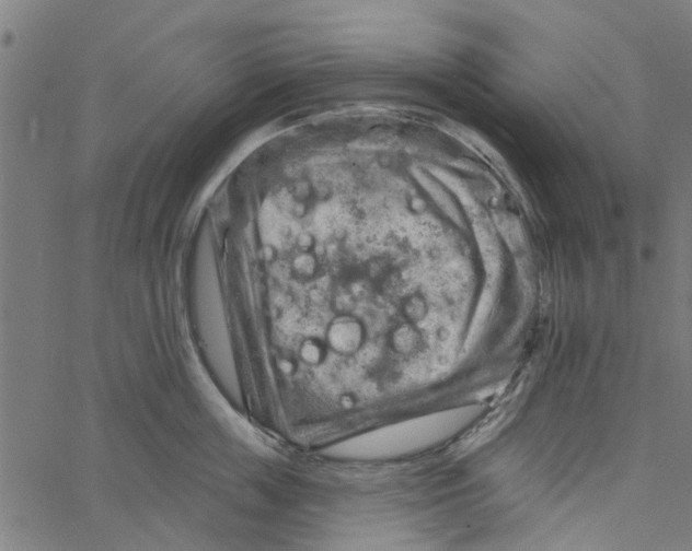 X0000067510859200604281606