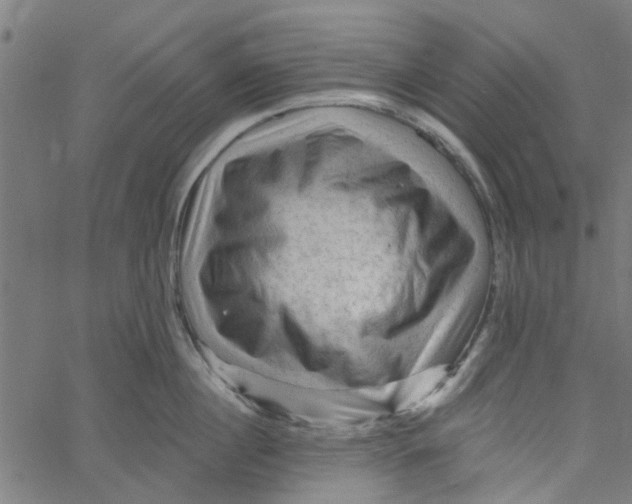 X0000067510860200604281606