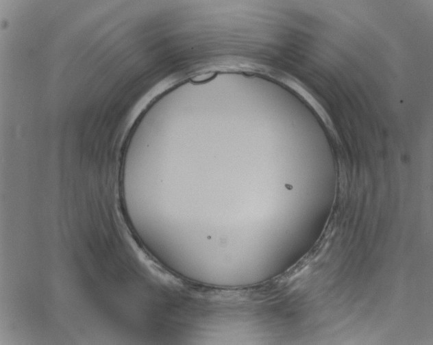 X0000067510861200604281606