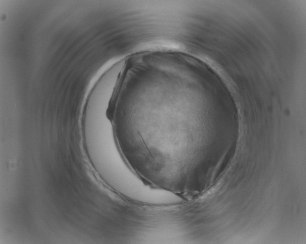 X0000067510864200604281607