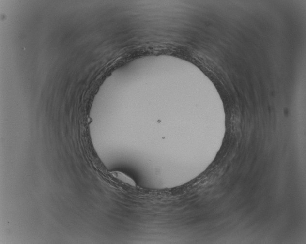 X0000067510865200604281606