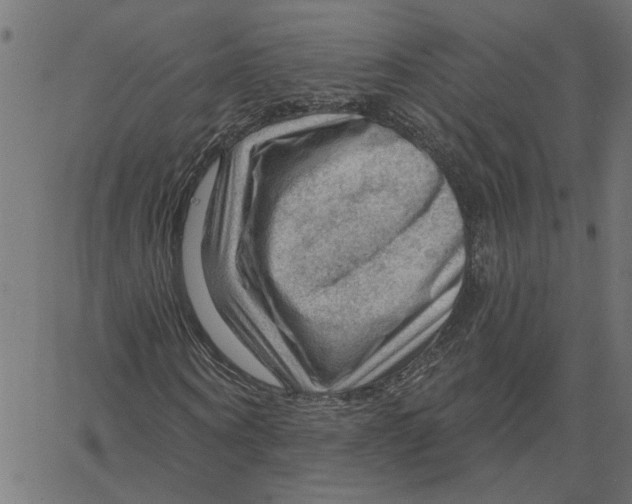 X0000067510866200604281606