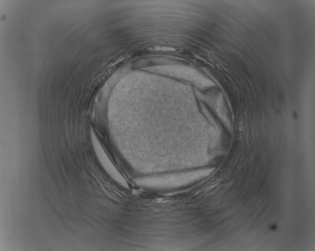 X0000067510868200604281606