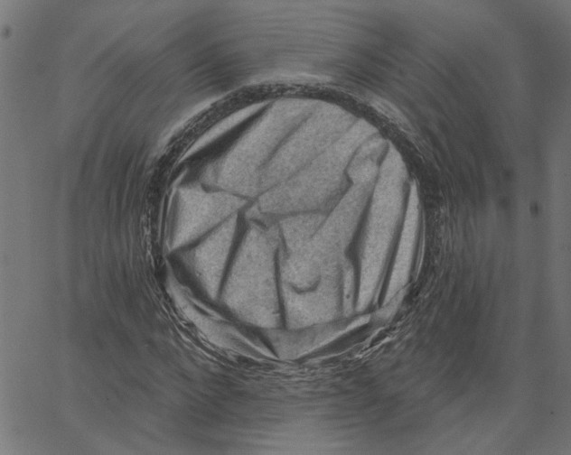 X0000067510872200604281606