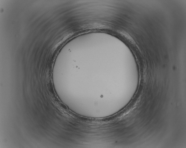 X0000067510873200604281605