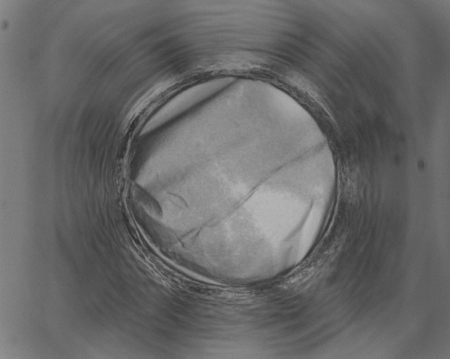 X0000067510874200604281605