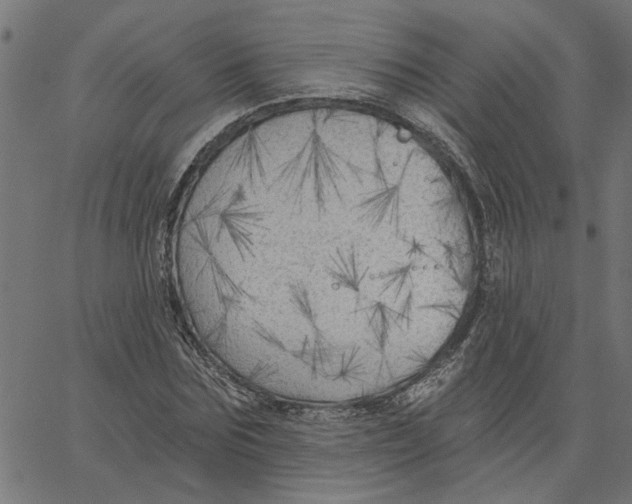 X0000067510875200604281605