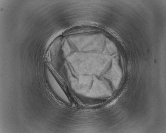 X0000067510877200604281605