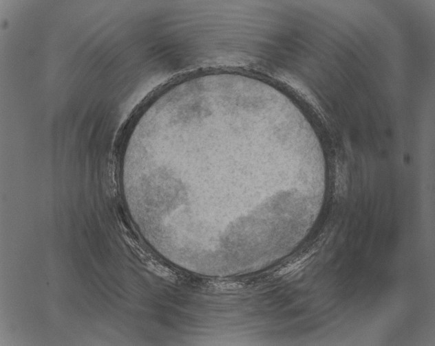 X0000067510878200604281605