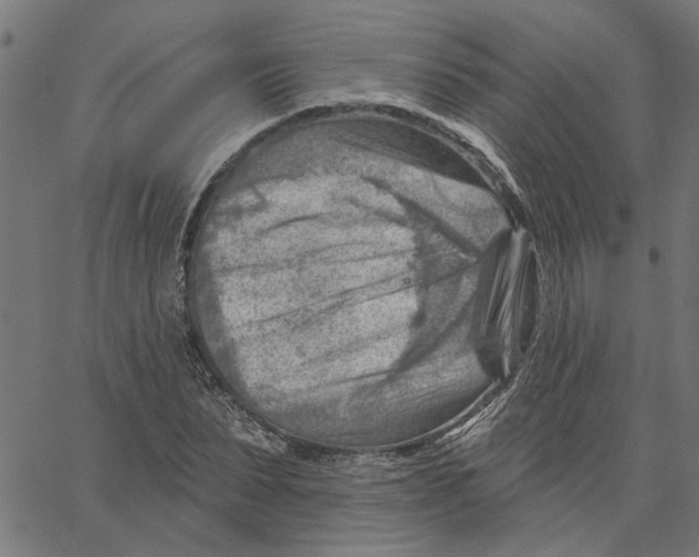 X0000067510879200604281605