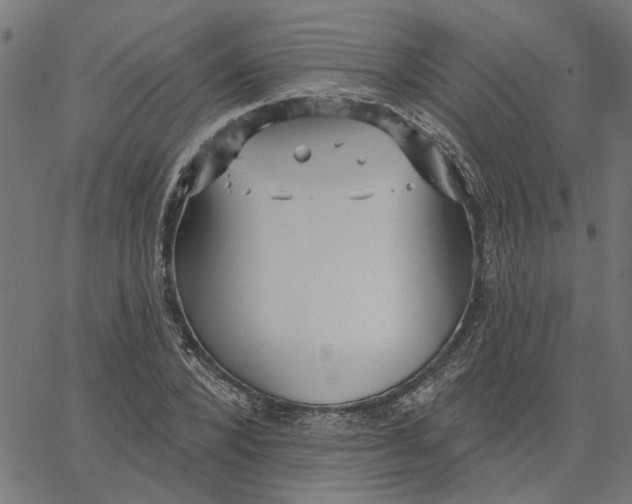 X0000067510880200604281605