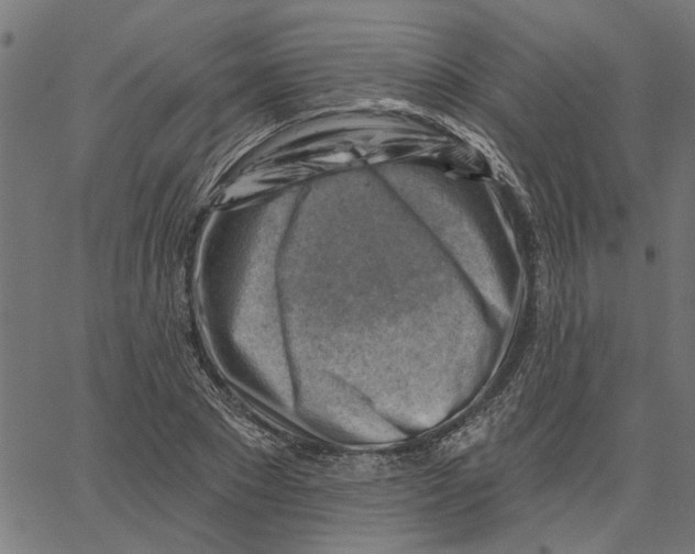 X0000067510881200604281605