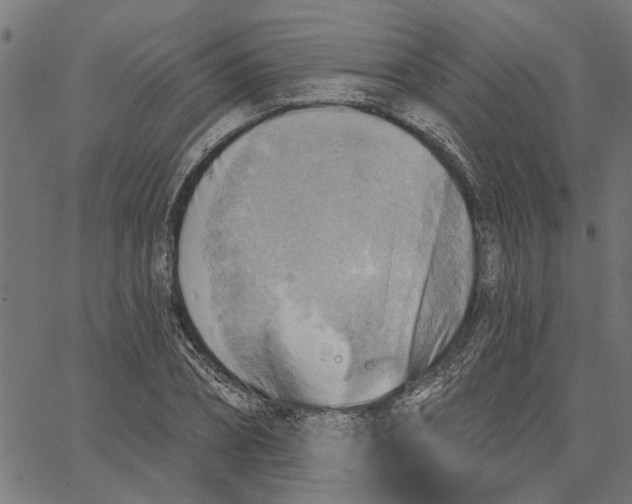 X0000067510882200604281605