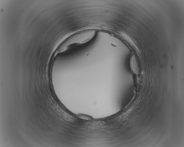 X0000067510884200604281605