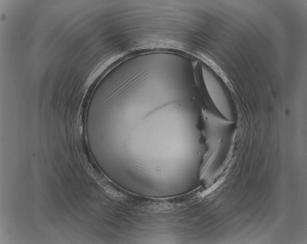 X0000067510885200604281605