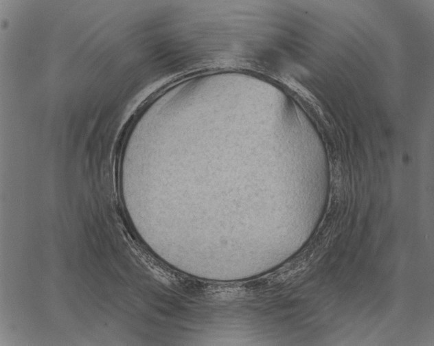 X0000067510886200604281605