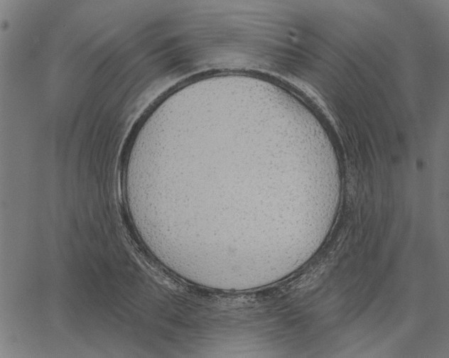 X0000067510887200604281605