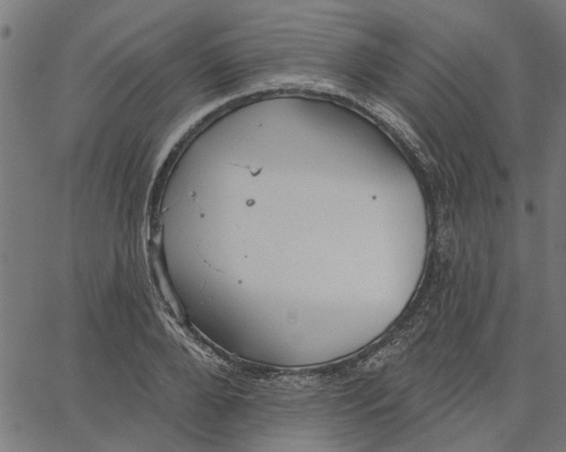 X0000067510888200604281605