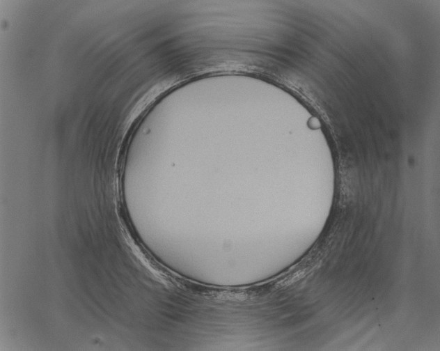 X0000067510890200604281605