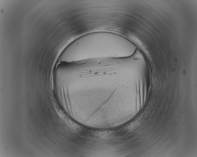 X0000067510892200604281605