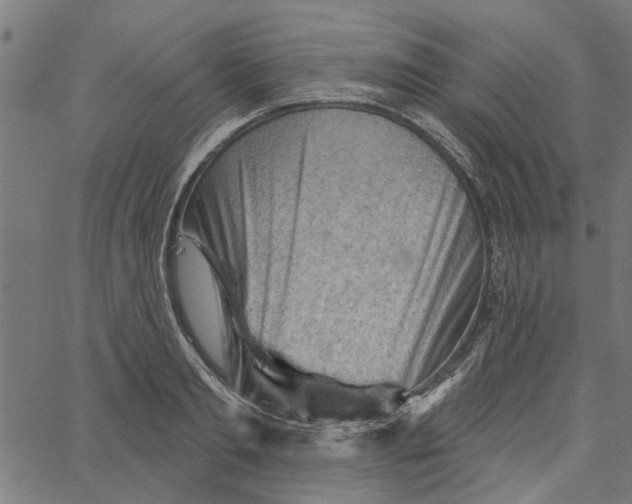 X0000067510893200604281605