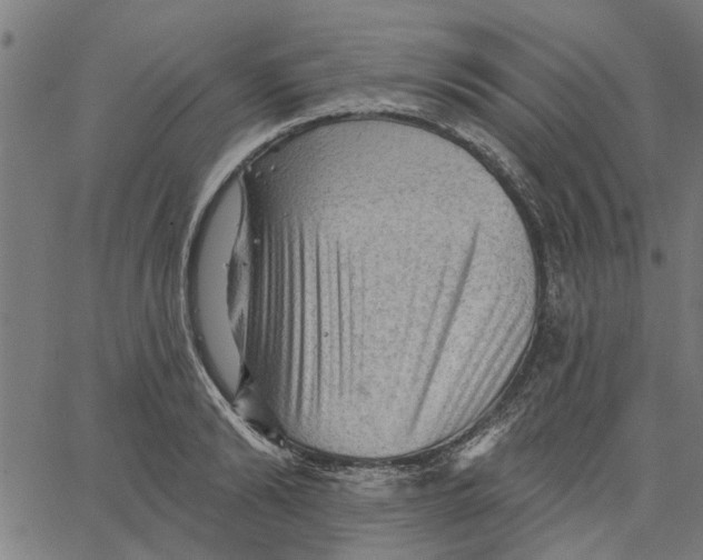 X0000067510894200604281605