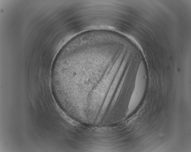 X0000067510895200604281605