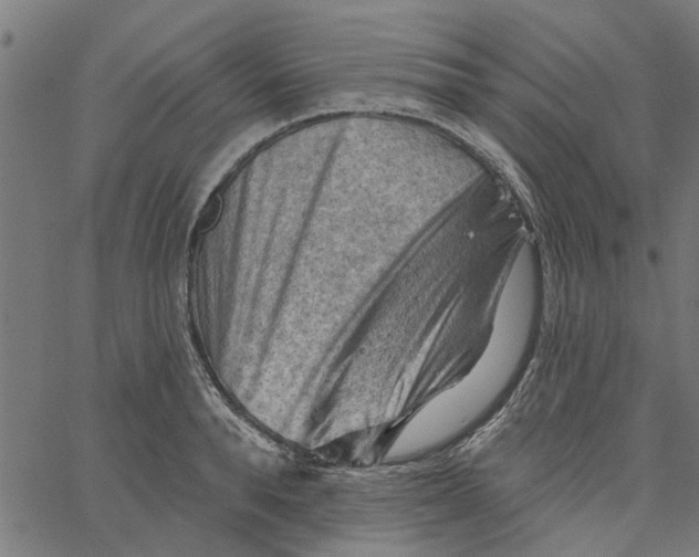 X0000067510896200604281605