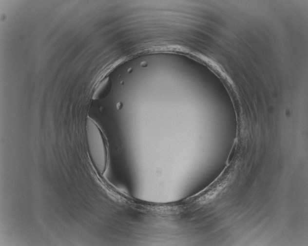 X0000067510897200604281605