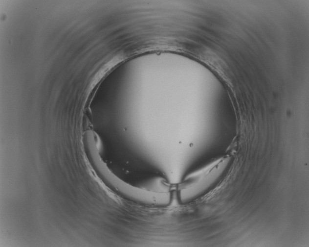 X0000067510898200604281605