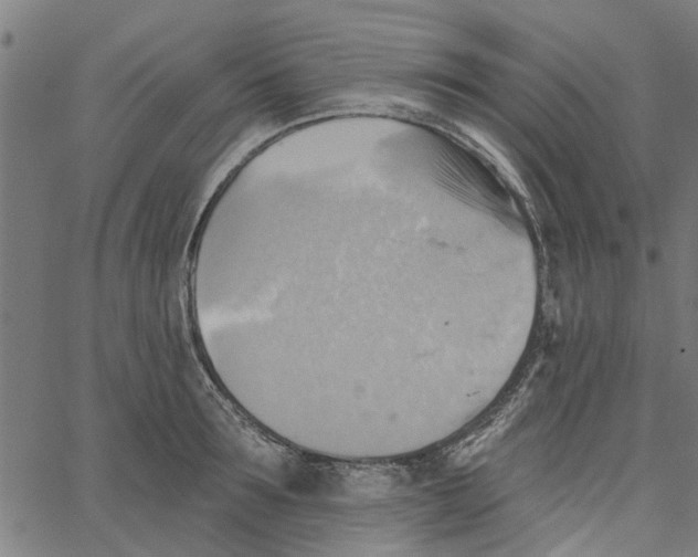 X0000067510899200604281605