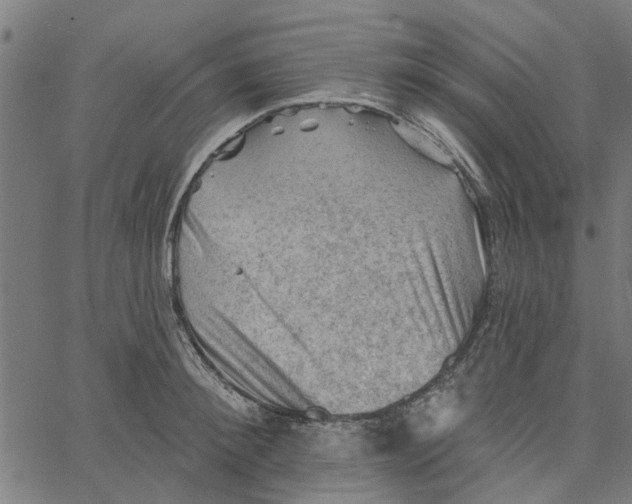 X0000067510900200604281605