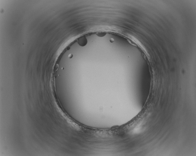 X0000067510901200604281605