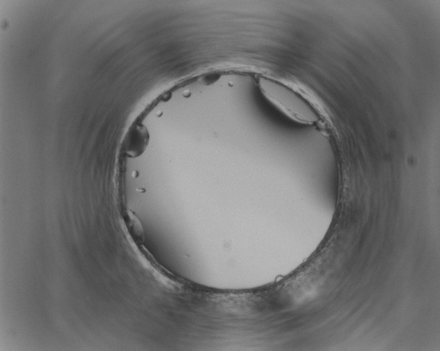 X0000067510902200604281605