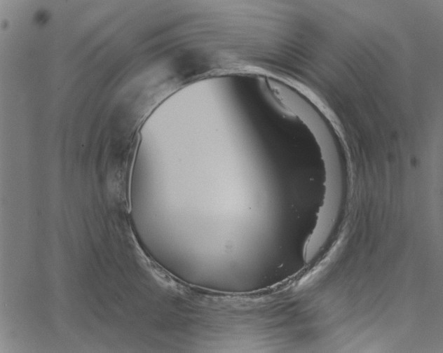 X0000067510905200604281605