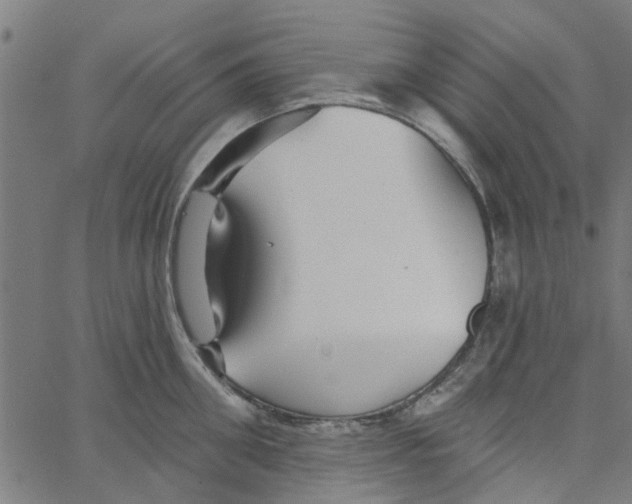 X0000067510906200604281605