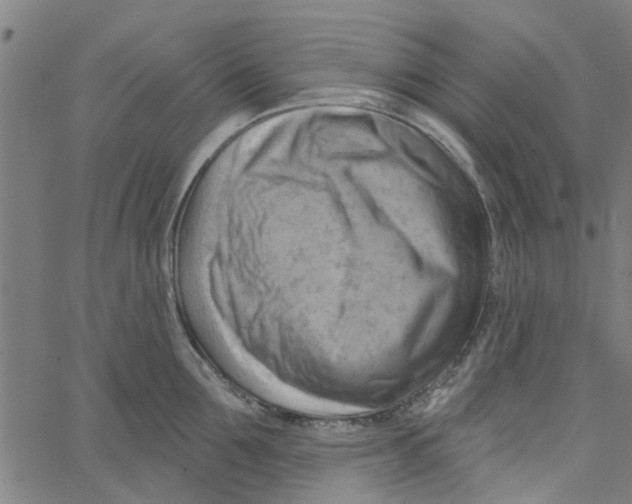 X0000067510907200604281605