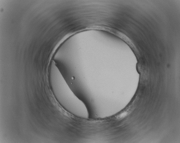 X0000067510908200604281605